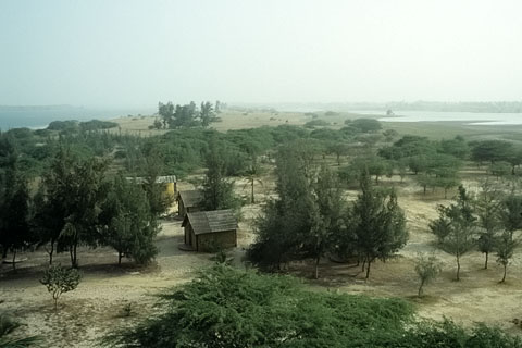 https://www.transafrika.org/media/Senegal/Dorf Afrika.jpg
